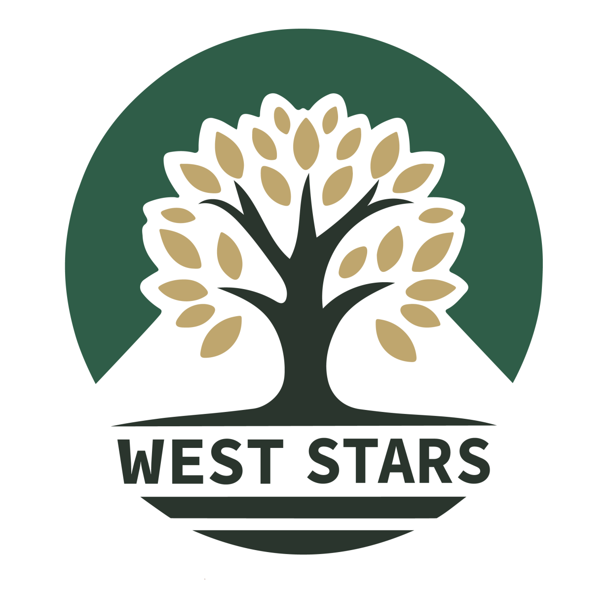 west stars.png